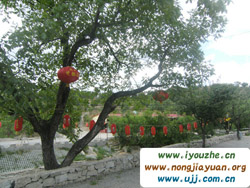 ���ȸ��ժ�^��@