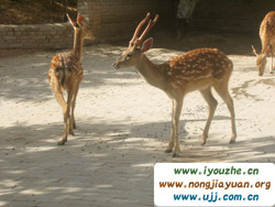 ���ȸ��ժ�^��@