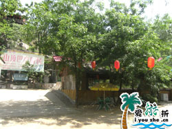 ���V�~һ�l��ɽ픰��r��Ժ