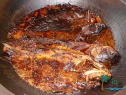 ���V�~һ�l����ʺ��r��Ժ