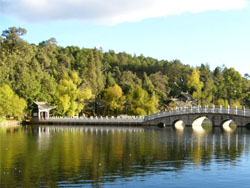 ����̶�L��