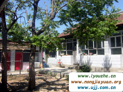 ����?zh��)��κ�ϼ�r(n��ng)��Ժ