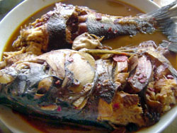 �l���˼��r��Ժ