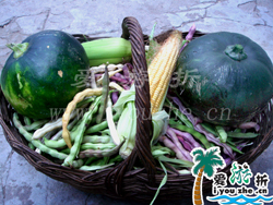 ����?zh��)����چ��r(n��ng)��Ժ