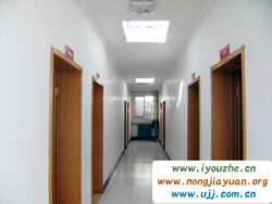 �t���������r��Ժ