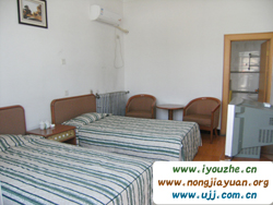 �t������ȸɽ�Ƽ�