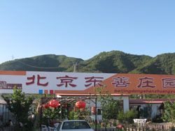 ƽ�Ⱦ��|��{�Ȗ|���f�@