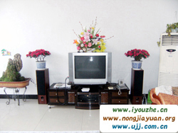 ���|��{�����O�r��Ժ