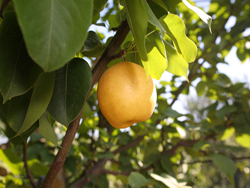 ����¡���B�r�I����ɽ�f