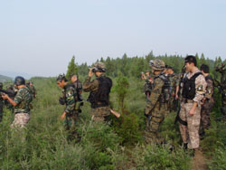 ����¡���B�r�I����ɽ�f