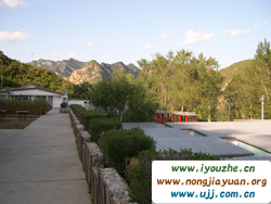 91̖���e�ȼٴ�