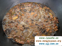 91̖���e�ȼٴ�