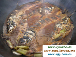 91̖���e�ȼٴ�