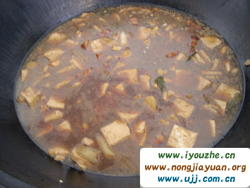 91̖���e�ȼٴ�