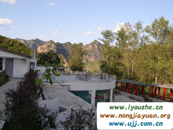 91̖���e�ȼٴ�