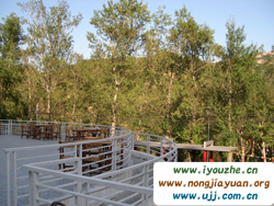 91̖���e�ȼٴ�