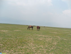 ������ԭ�����Tʿ�㘷��