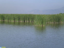 ������ԭ�����Tʿ�㘷��