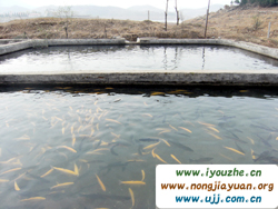 ƽ�Ƚ𺣺���Ȫ�d�