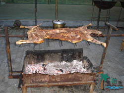 ���c�{���P�r��Ժ