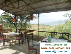 ����ˮ���^ˮͥԺ