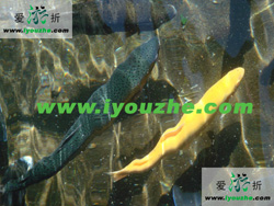 Ľ�����L�Ǿ����ɴ�ឈ@