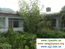 ����������r��Ժ