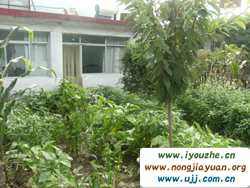 ����������r��Ժ