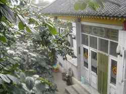 �����{���ف�(l��i)�r(n��ng)��Ժ