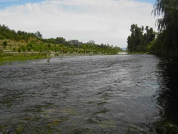 �����{���ف�(l��i)�r(n��ng)��Ժ