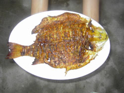 �����{���ف�(l��i)�r(n��ng)��Ժ