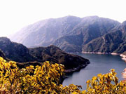 �����{�l���