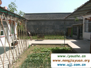 �����{�l���