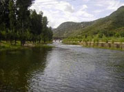 �����{�l���