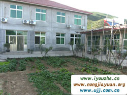 �����{���Ժ