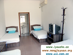 ʮ�ɽ��m�͏d