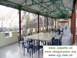 ʮ�������r��Ժ