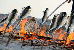 ��ɽ��ꖜ��r��Ժ