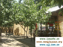 ̶�������Ĉ@�͗�