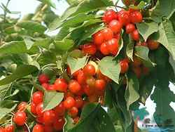 ̶�����e�����r��Ժ