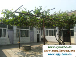 ��Դ�ɹ���@�͗�