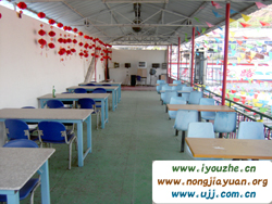 �F�`ɽ�����Ƽ�