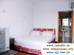 �F�`ɽ�����Ƽ�