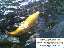 �ˮ�����Դ�����r��Ժ