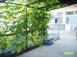 �ˮ�����Դ�����r��Ժ