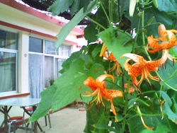 �ˮ�����Դ�����r��Ժ