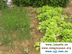 Ұ���°���{��ɽ�r��Ժ