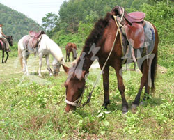 Ұ���º����r��Ժ