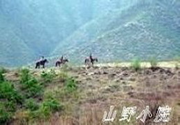 Ұ���°���{ɽҰ�r��Ժ