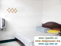 ����{��ľ�r��Ժ